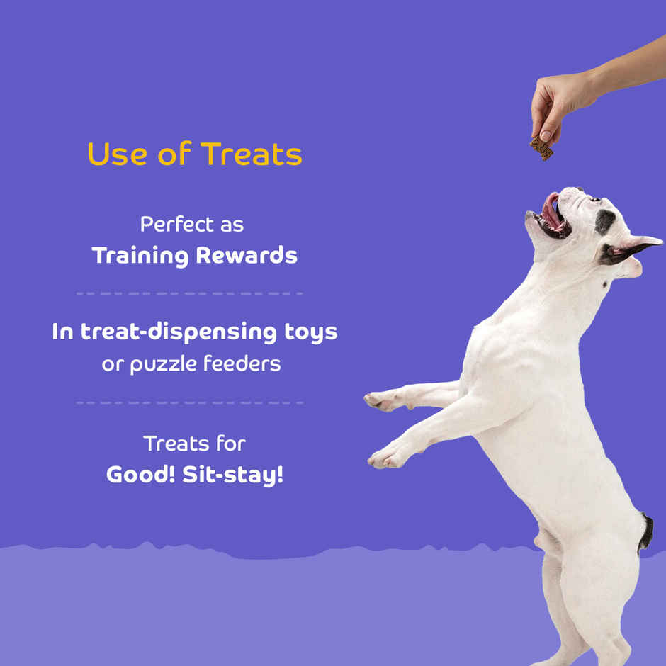 Applod Real Lamb & Ashwagandha Dog Biscuit | For Puppy & Adult Dogs | Best Training Dog Treat