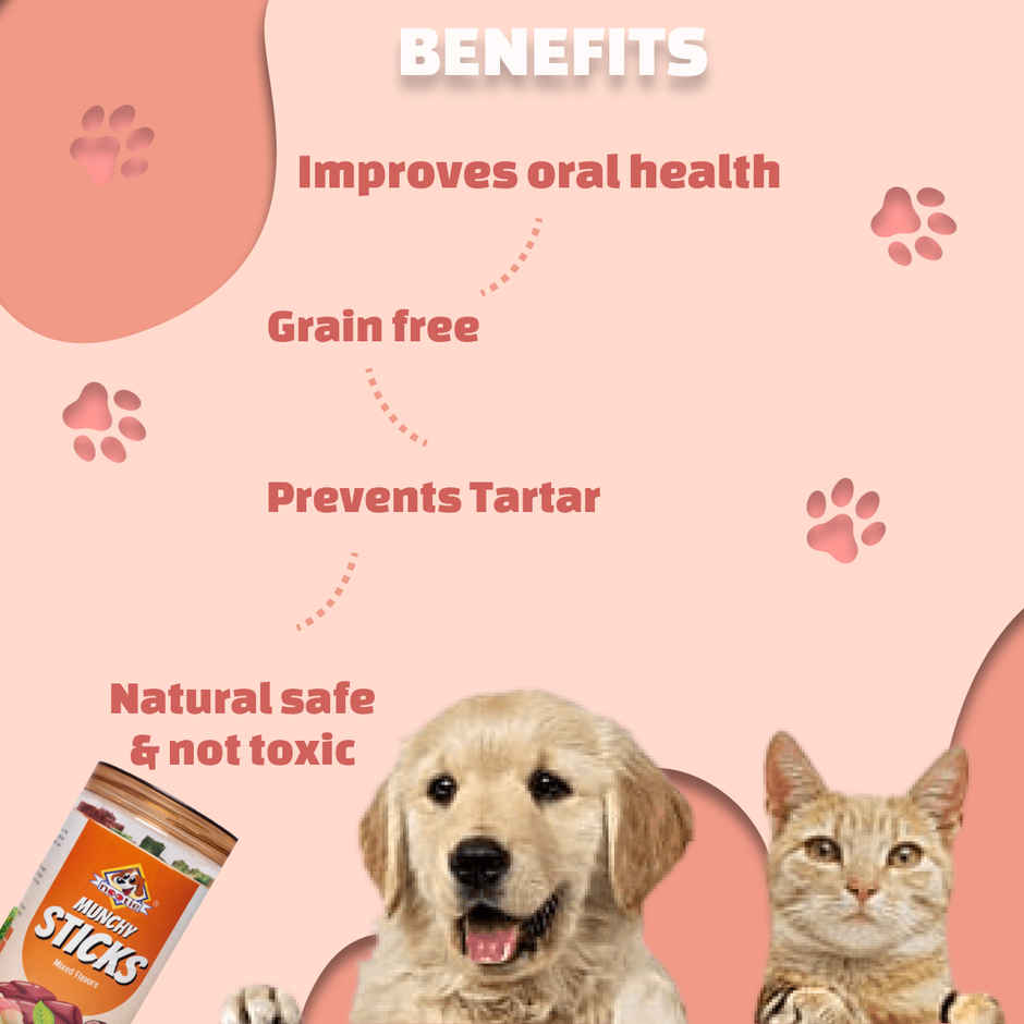 Nootie Munchy Sticks For All Stages Dogs Perfect For Training & Treating Long Lasting Chew (Mixed)