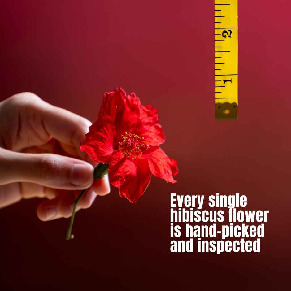 Hibiscus Monkey Hm Love Scalp & Hair Oil