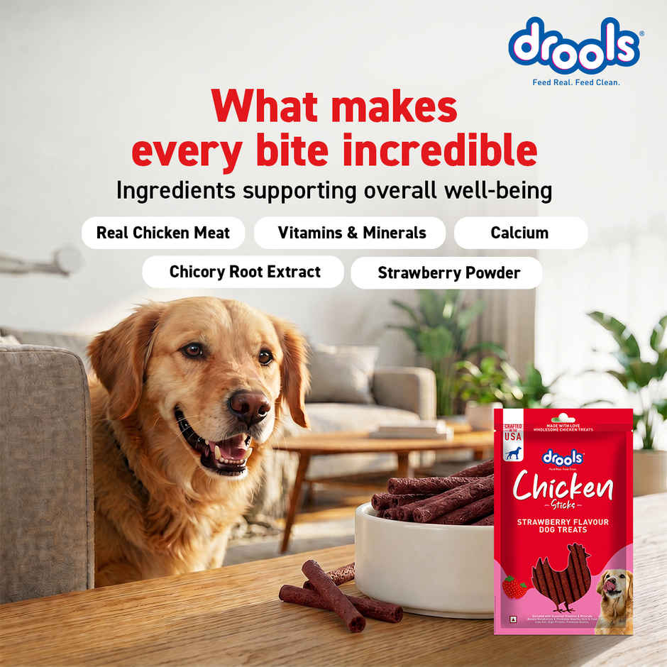 Drools Chicken Strawberry Flavor Dog Treats Sticks