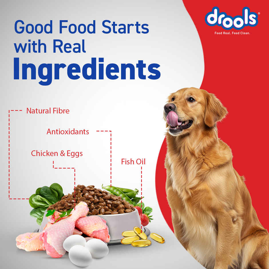 Drools Chicken and Egg Adult Dry Dog Food Inside Container 5kg