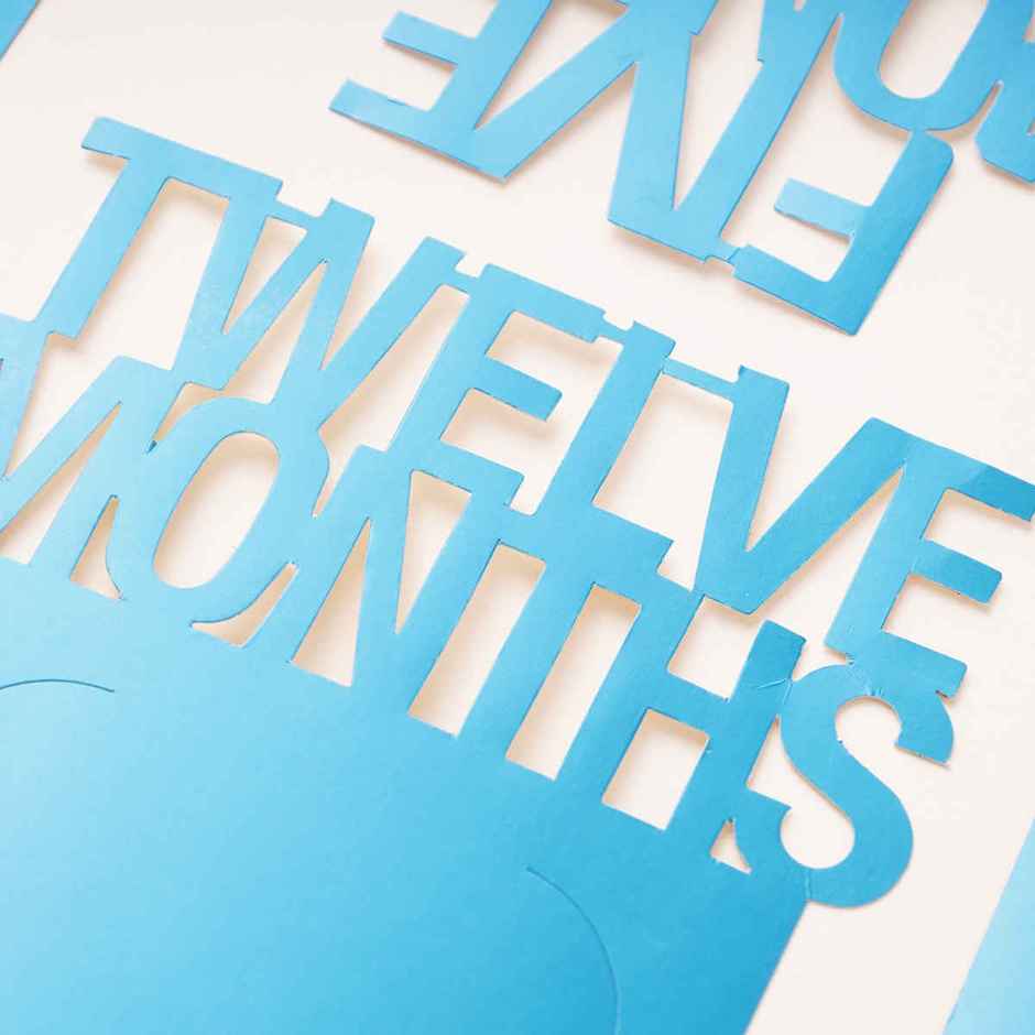 Twelve Months 1st Birthday Photo Banner | Propcon