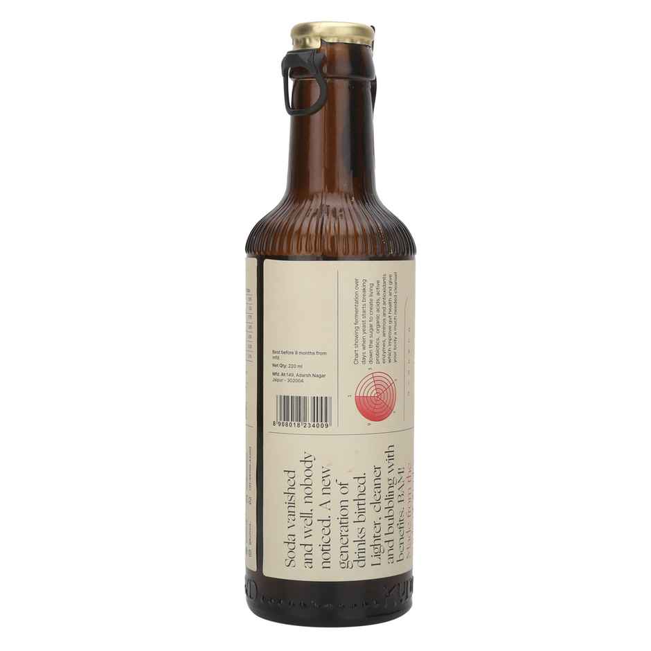 Kultur'D Apple and Cinnamon Kombucha