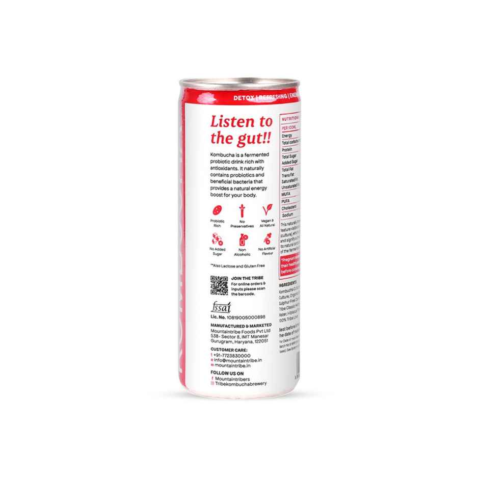 Tribe Naturally Sparkling Probiotic Herbal Green Tea With Hibiscus & Lemon Kombucha Combo