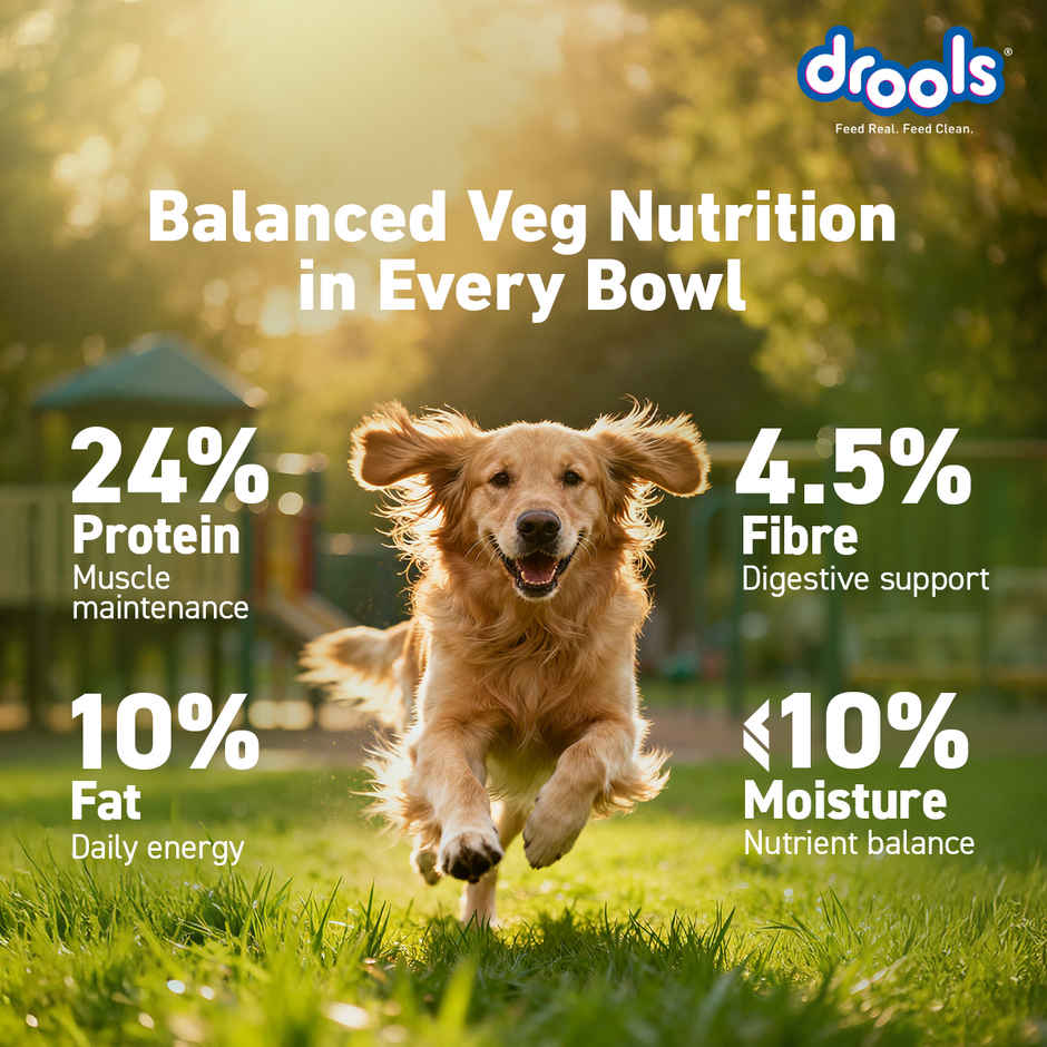 Drools Veg Dry Dog Food, For Puppies & Adults