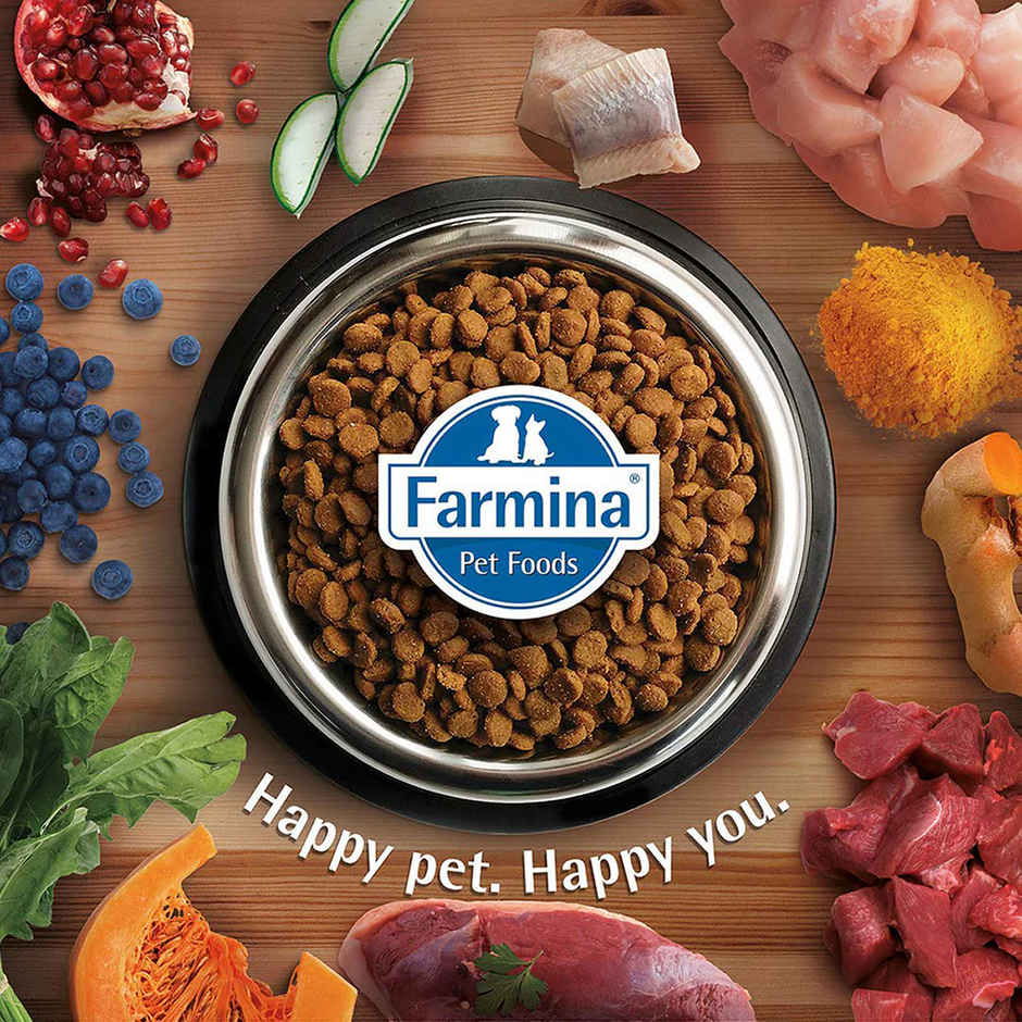 Farmina Team Breeder Top Farmina