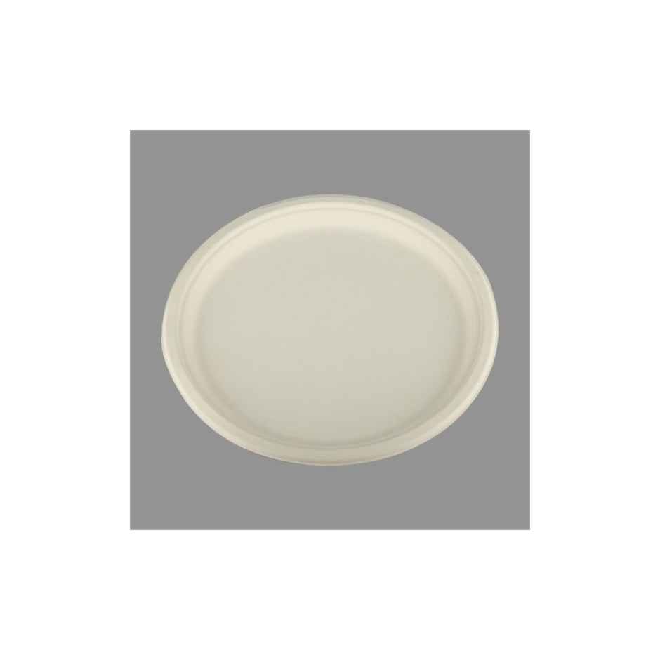 Bio Degradable Big Plate | 12 inch | Pack of 25 | Pacxpertz