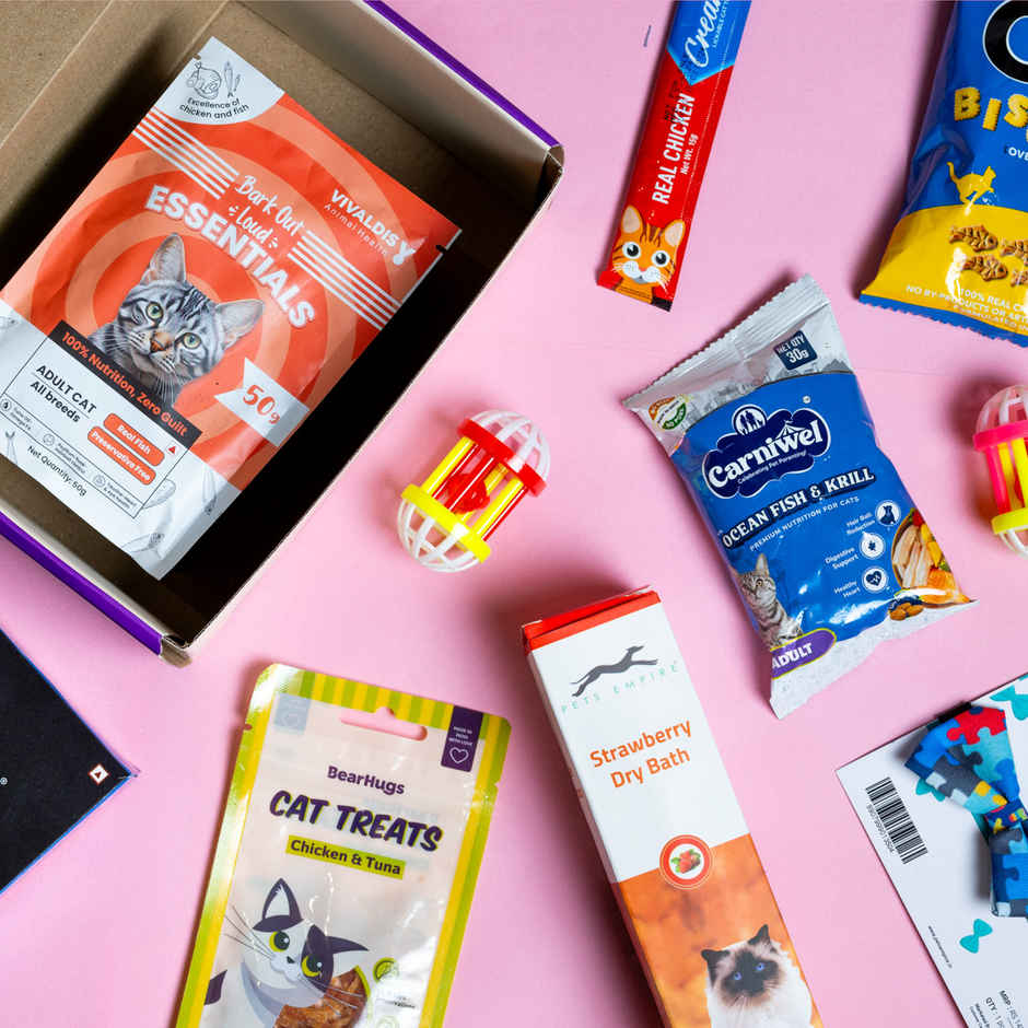 New Year Holiday Gift Box for Cats | Food | Treats | Toys and More