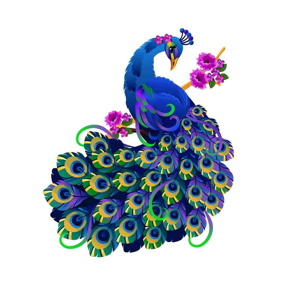 Divine Vibes Peacock Wall Sticker