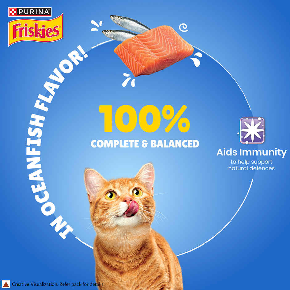 Purina Friskies Gravy Licious Cat Food Ocean Fish Flavour