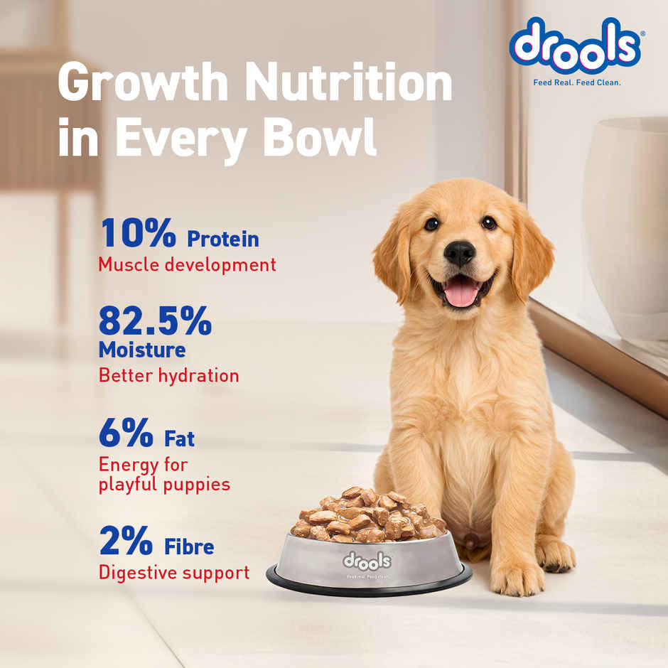 Drools Puppy Wet Dog Food - Real Chicken & Liver Chunks in Gravy Combo