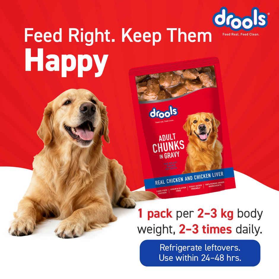 Drools Adult Wet Dog Food Chicken And Chicken Liver Chunks In Gravy (10 + 2 Pouches Free)