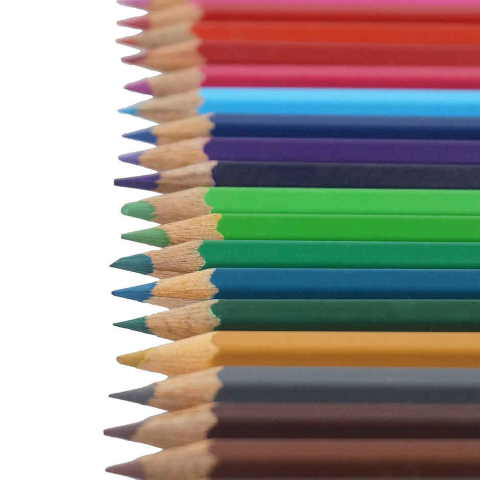 Camlin Colour Pencils Assorted Pack Of 24 Shades With Sharpener, Full Size