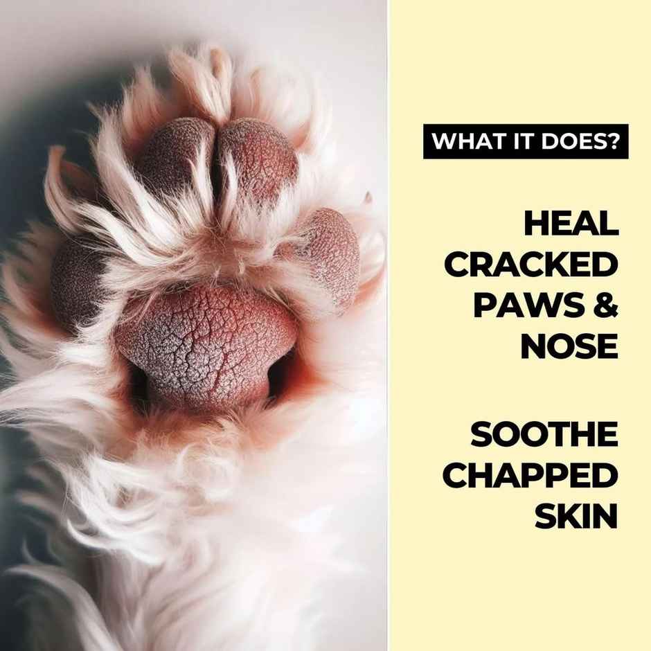 Moe Puppy Paw Balm