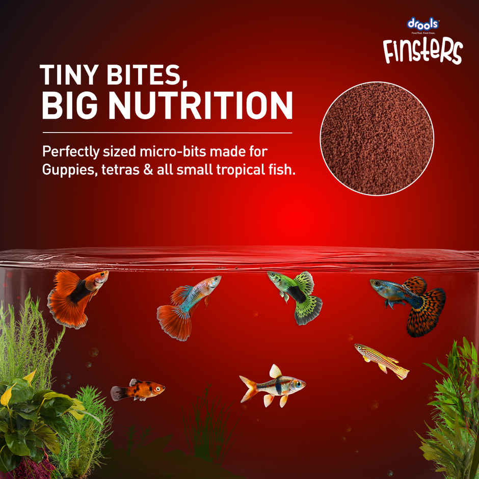 Drools Finsters Guppy Bits Fish Food