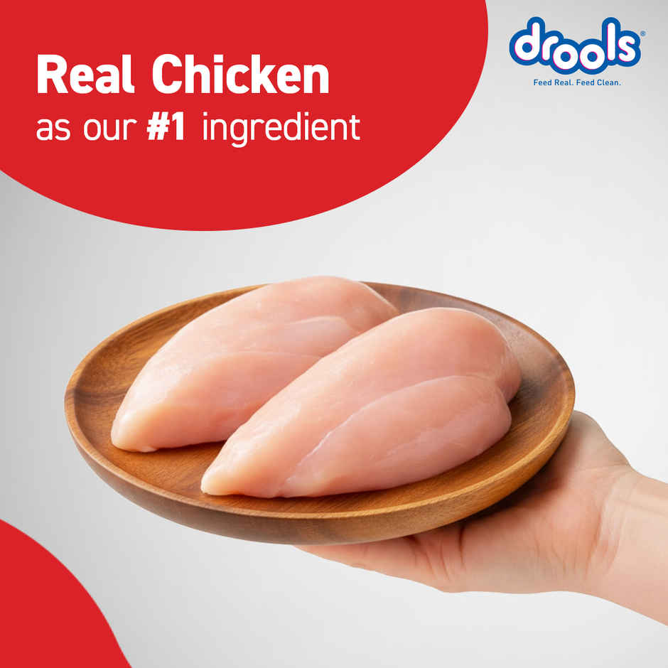 Drools Chicken and Egg Puppy Dry Dog Food Inside Container 5Kg