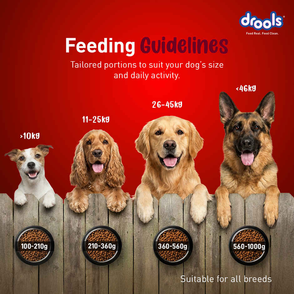 Drools Lamb and Rice Adult Dry Dog Food 1 kg