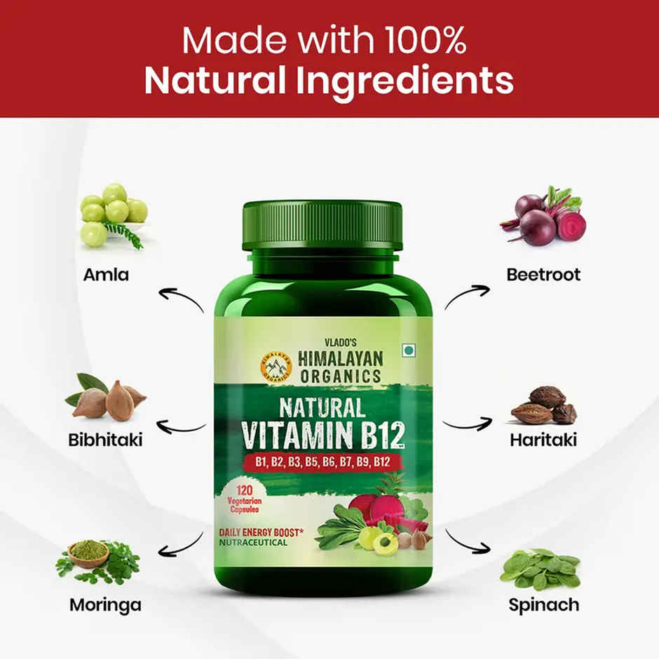 Vlado's Himalayan Organics Vitamin B 120 VEG Tablets
