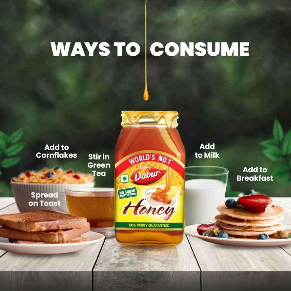 Dabur Honey - 100% Pure, World's No.1 Honey Brand (No Sugar Adulteration)