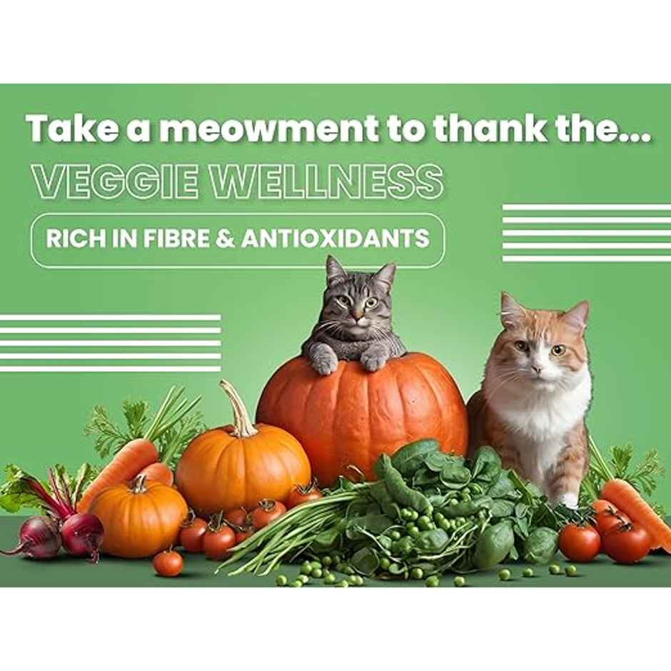 Bark Out Loud | Fresh Salmon Fish and Chicken Premium Adult Dry Cat Food