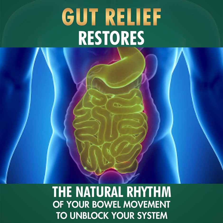 Vansaar 45+ Gut Relief Isabgol Powder For Consipation