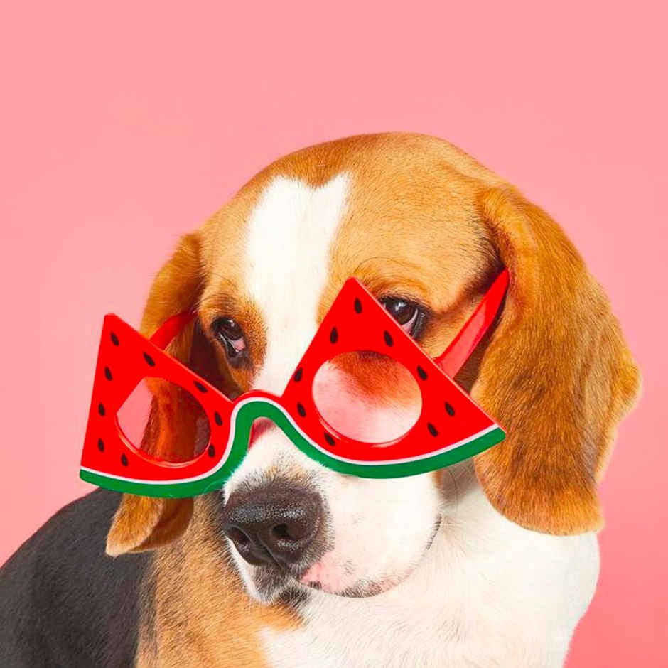 Chrome Watermelon Party Glasses - Assorted