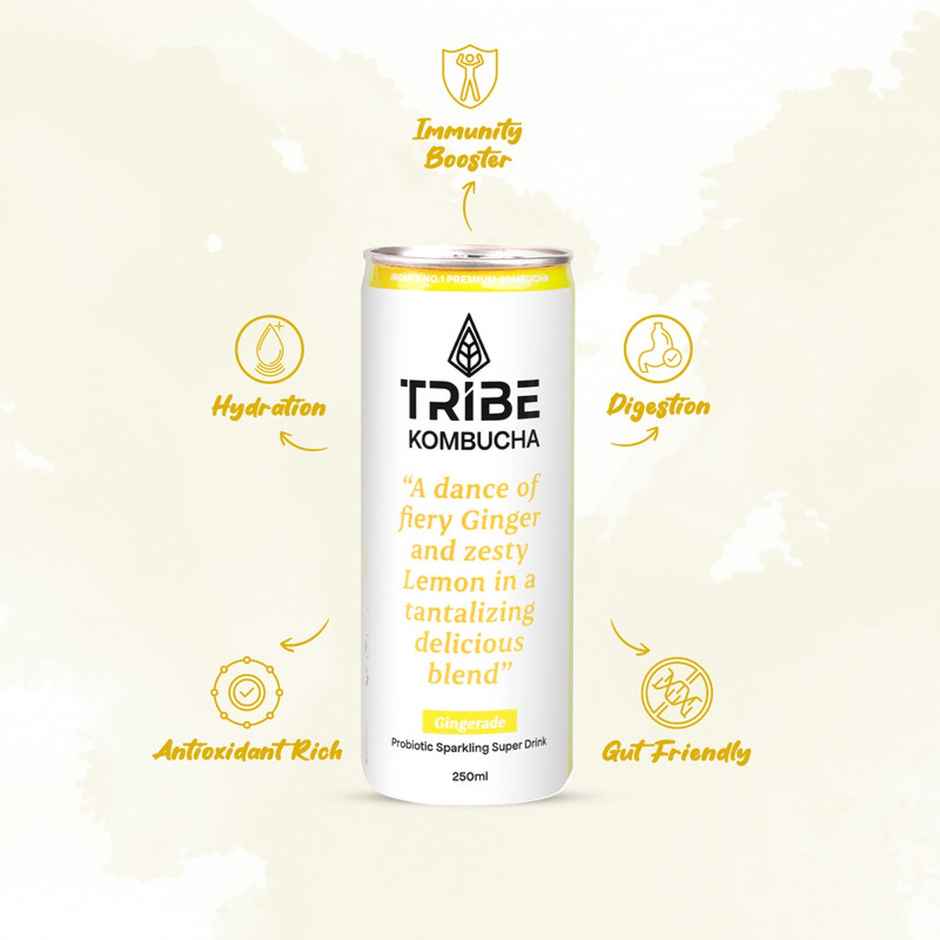 Tribe Naturally Sparkling Probiotic Green Tea With Herbs & Spices Kombucha (250ml) & Tribe Naturally Sparkling Probiotic Green Tea With Ginger & Lemon Kombucha (250ml) Combo