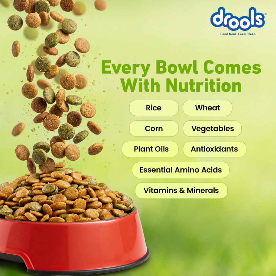 Drools Veg Dry Dog Food, For Puppies & Adults