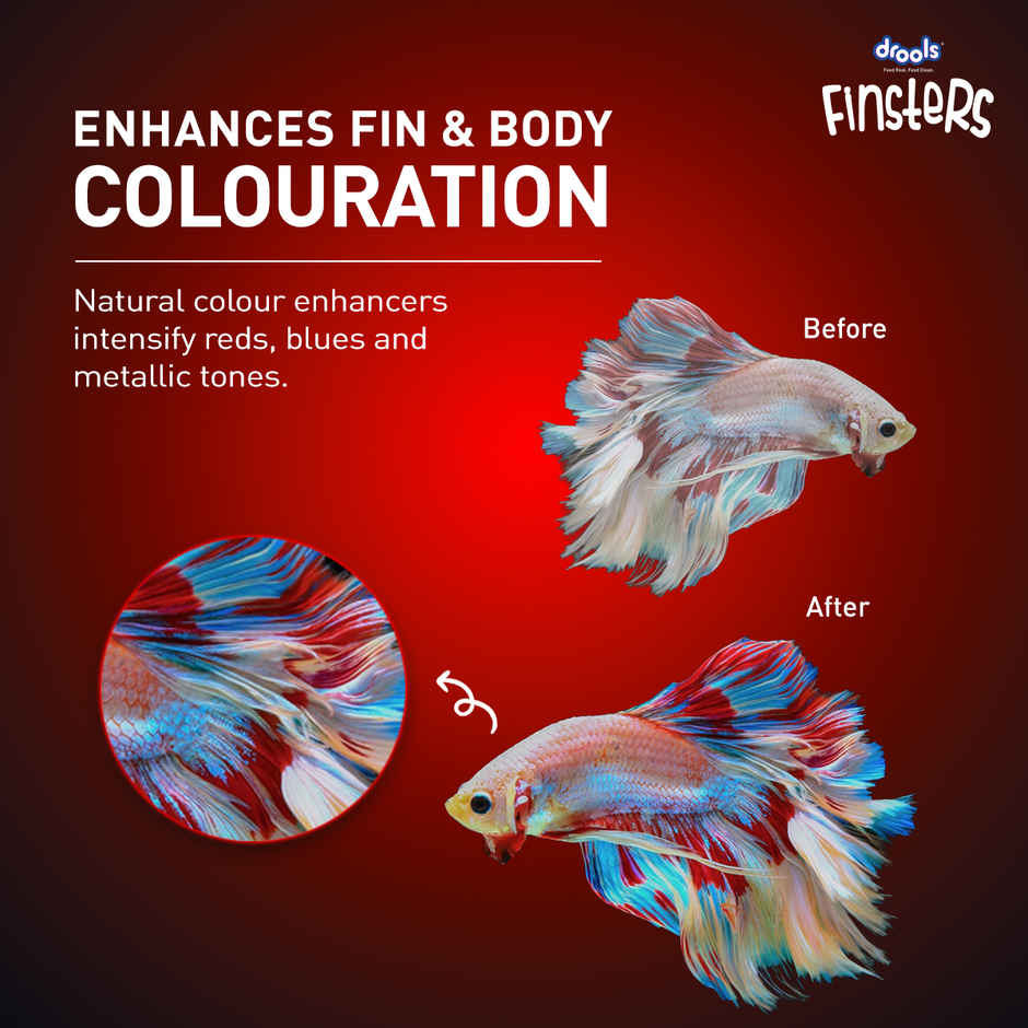 Drools FinstersBetta FishFood