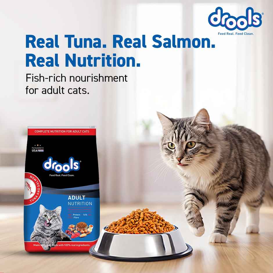 Drools Tuna & Salmon Adult Dry Cat Food