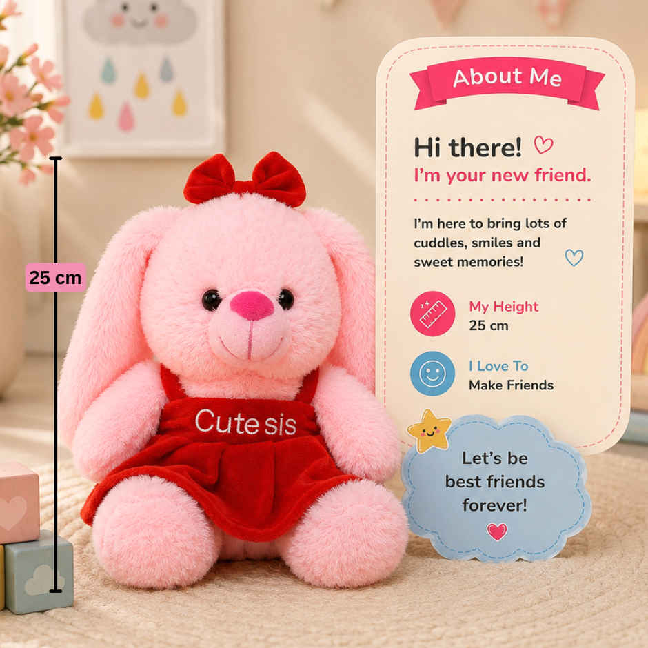Toytales Pink Bunny Decorative Soft Toy | Sweet Sister Gift Plush Toy | Birthday & Special Occasion Gift