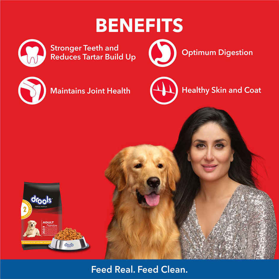 Drools Chicken and Egg Adult Dog Food