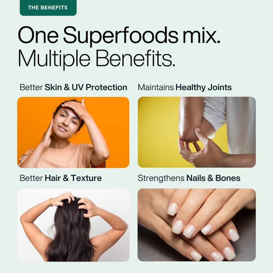 Puretive Daily Collagen Regular Malt Drink Mix