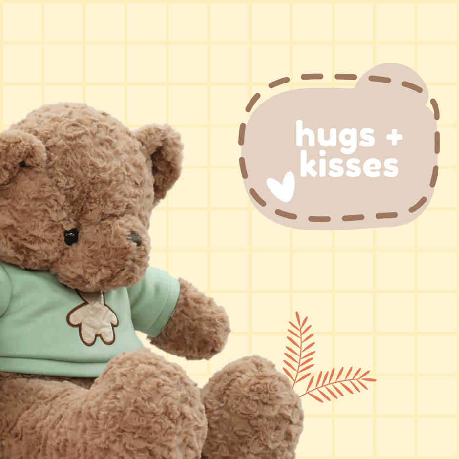 Toytales Cute Teddy Bear | Perfect Gift For Kids | This Soft Toy Is A Cuddly Plushie