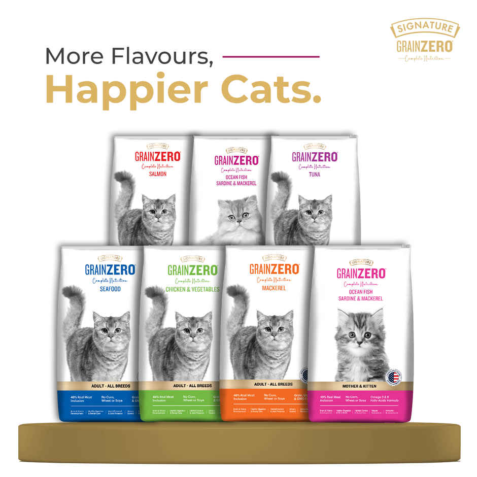 Signature Grain Zero Adult Dry Cat Food | Ocean Fish Sardines & Mackerel