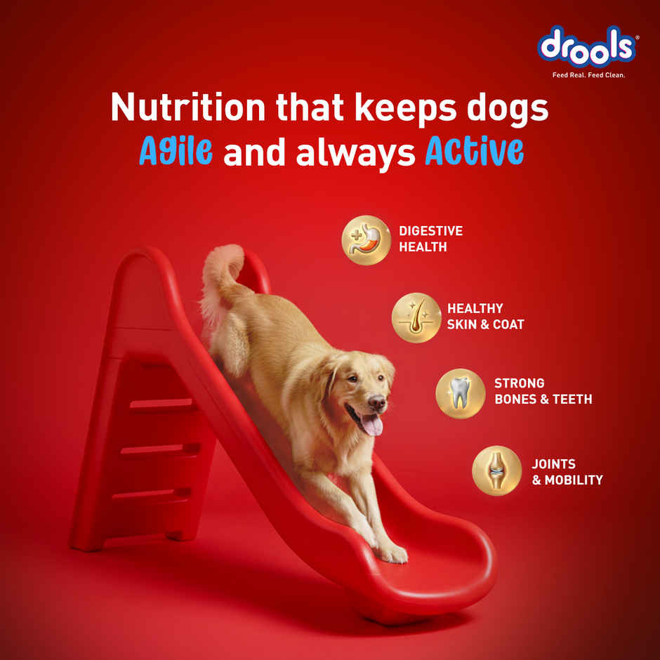 Drools Fish and Rice Adult Dry Dog Food 1 kg