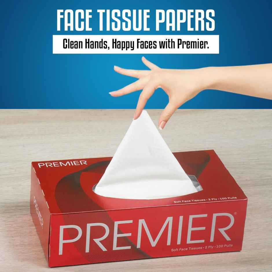 Premier 4 in 1 Face Tissue Box | 100 pulls each | 2 ply | Pack of 4