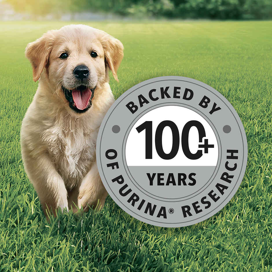 Purina Friskies Chicken Puppy Dog Dry Food