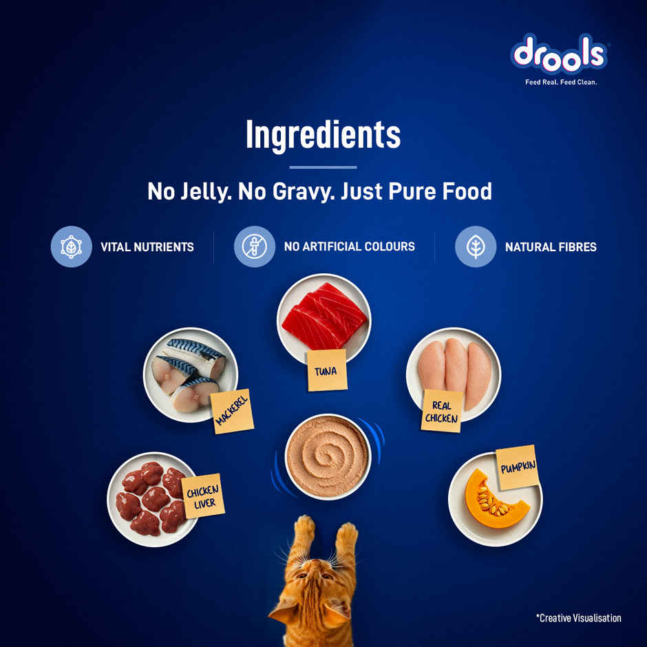 Drools Ocean Fish Mousse Kitten Wet Food