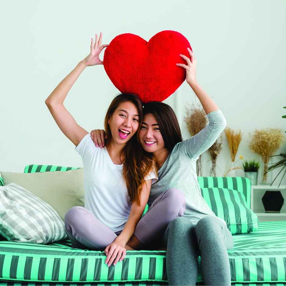 Fnp Magic Of Red Roses In Sleeve(1pc) & Webby Heart Shape Cushion Soft Toys | 30 Cm | Red(1pc) Combo