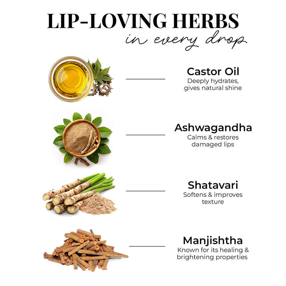 Just Herbs Serum Infused Lip Gloss (Soft Lush) | Long-Lasting Shine
