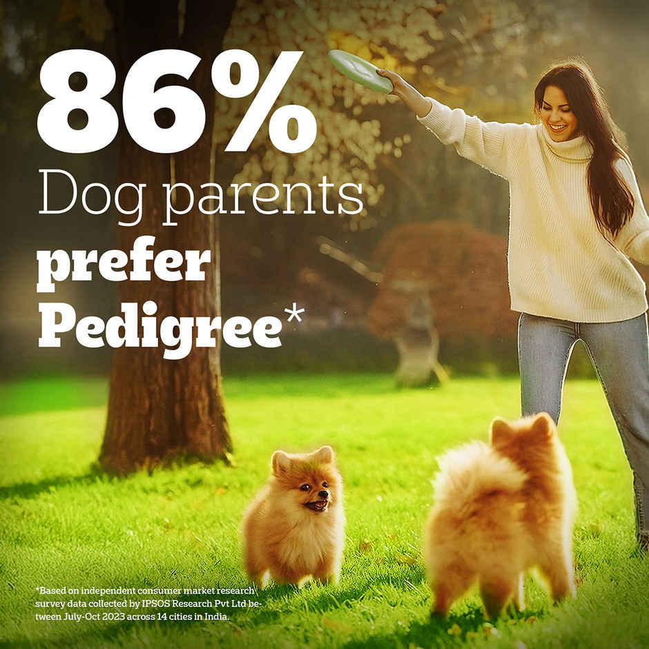 Pedigree PRO Puppy Large Breed (3-18 Months) Dog Food