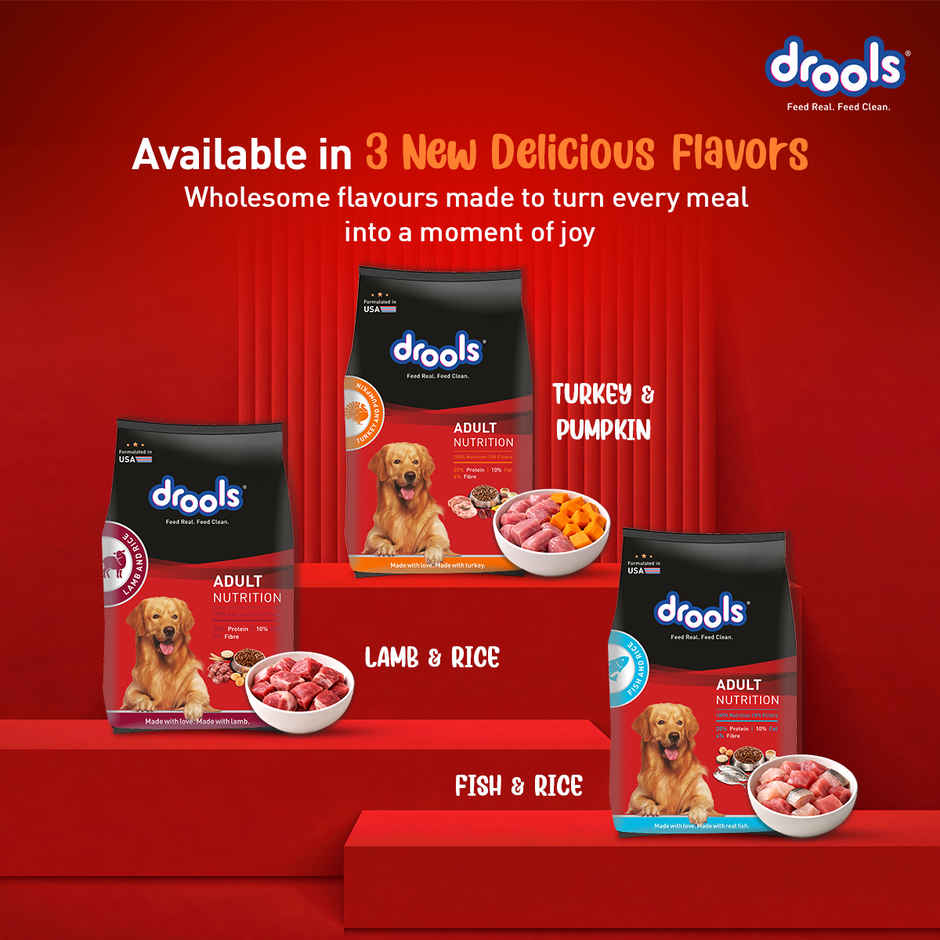 Drools Turkey and Pumpkin Adult Dry Dog Food 2.8 kg with Free 1 kg