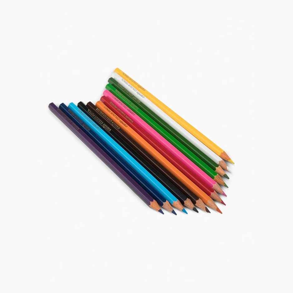Camlin Colour Pencils Assorted Pack Of 12 Shades With Sharpener, Full Size
