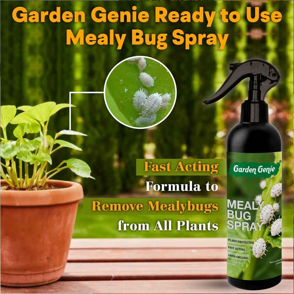 Garden Genie Mealy Bug Spray | Organic Pesticide Plant Spray for Mealy Bug on Plants