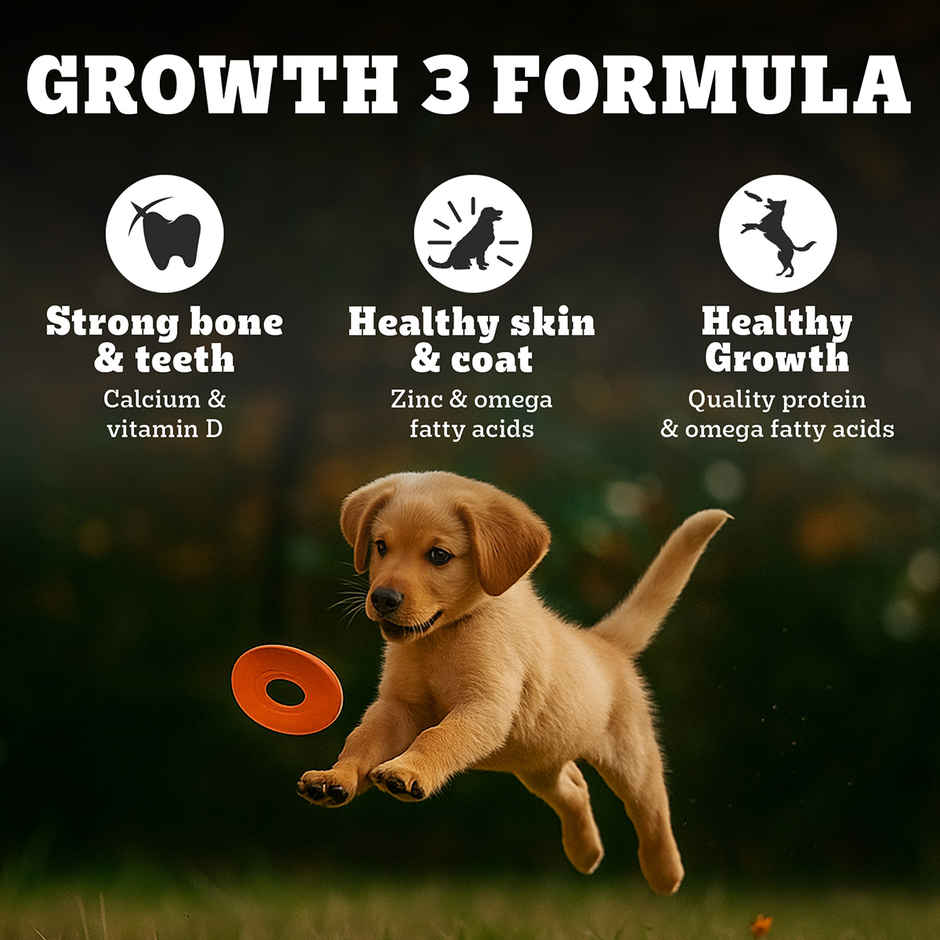 Pedigree PRO Puppy Large Breed (3-18 Months) Dog Food