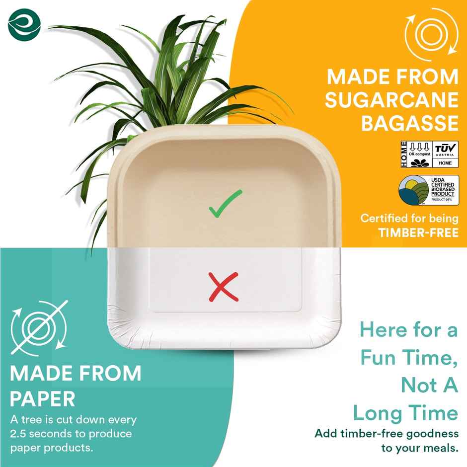 Disposable Plate | Square | 6 inch | 25 Count | Eco Soul