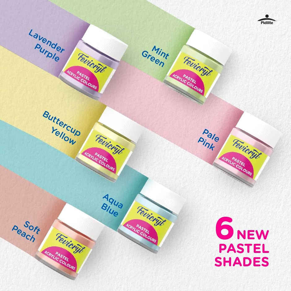 Fevicryl Multi Surface Pastel Acrylic Colours Kit | Ideal For Artists