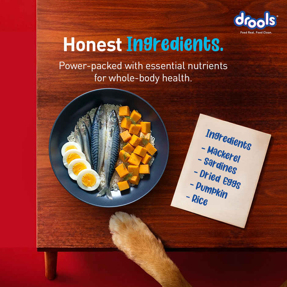 Drools Fish and Rice Adult Dry Dog Food 2.8 kg with Free 1 kg