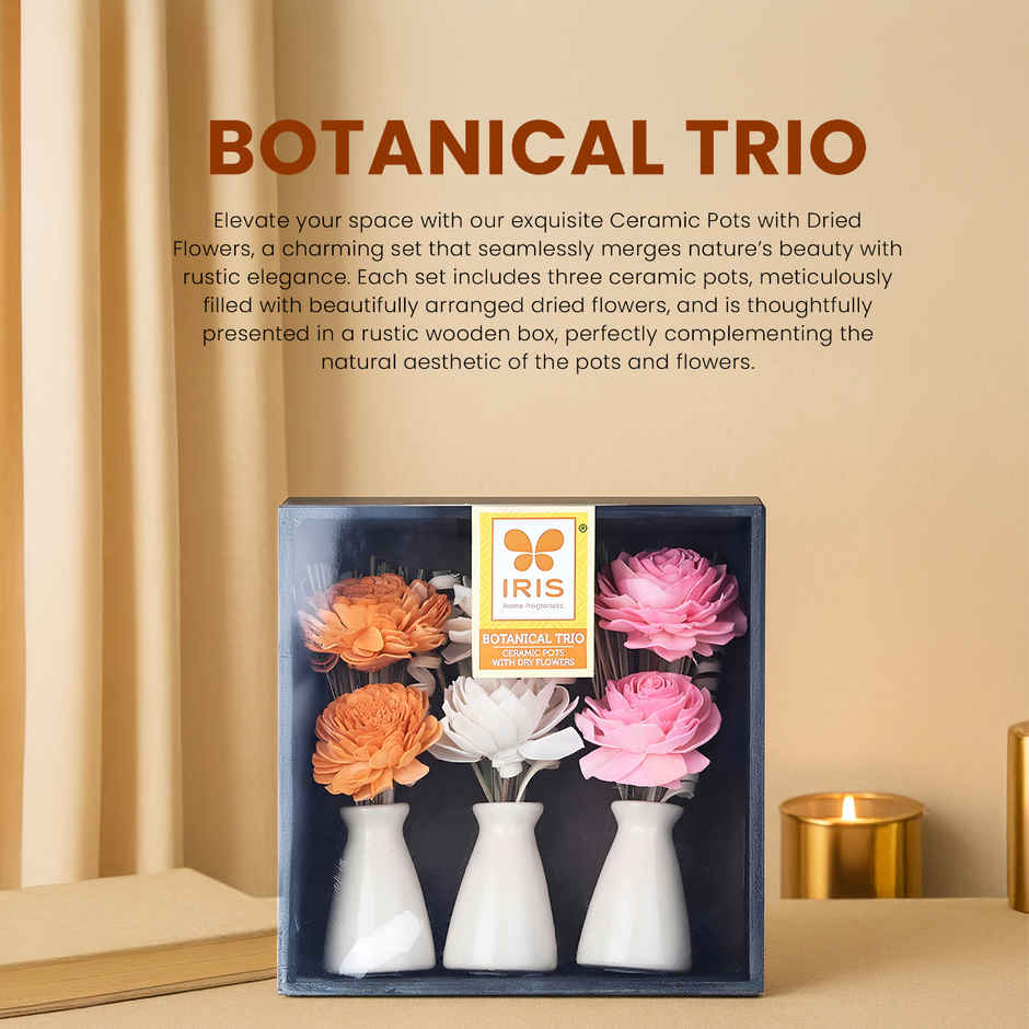 IRIS Botanical Trio Ceramic Vase With Dry Flowers Potpourri Decor